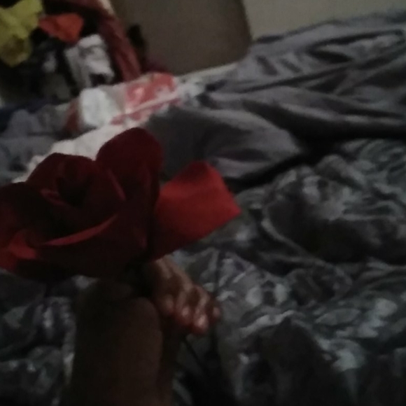 Flowers - Picture 3 of 4